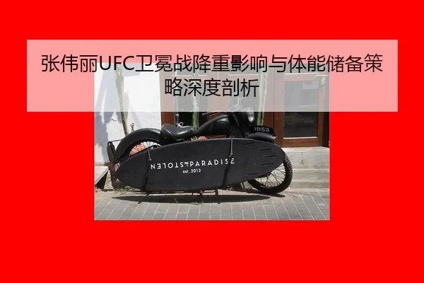 zhang-wei-li-wei-mian-zhan-jiang-chong-ying-xiang-yu-ti-neng-chu-bei-ce-lve-shen-du-pou-xi-3-164.jpg
