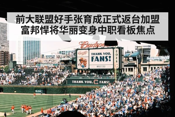 baseball stadium crowd